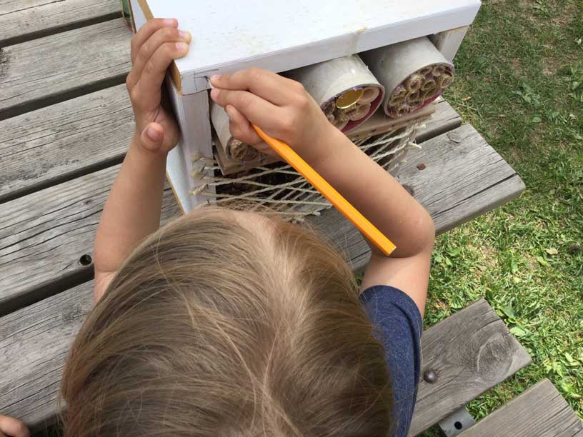 Barn skriver på ett insektshotell med en blyertspenna