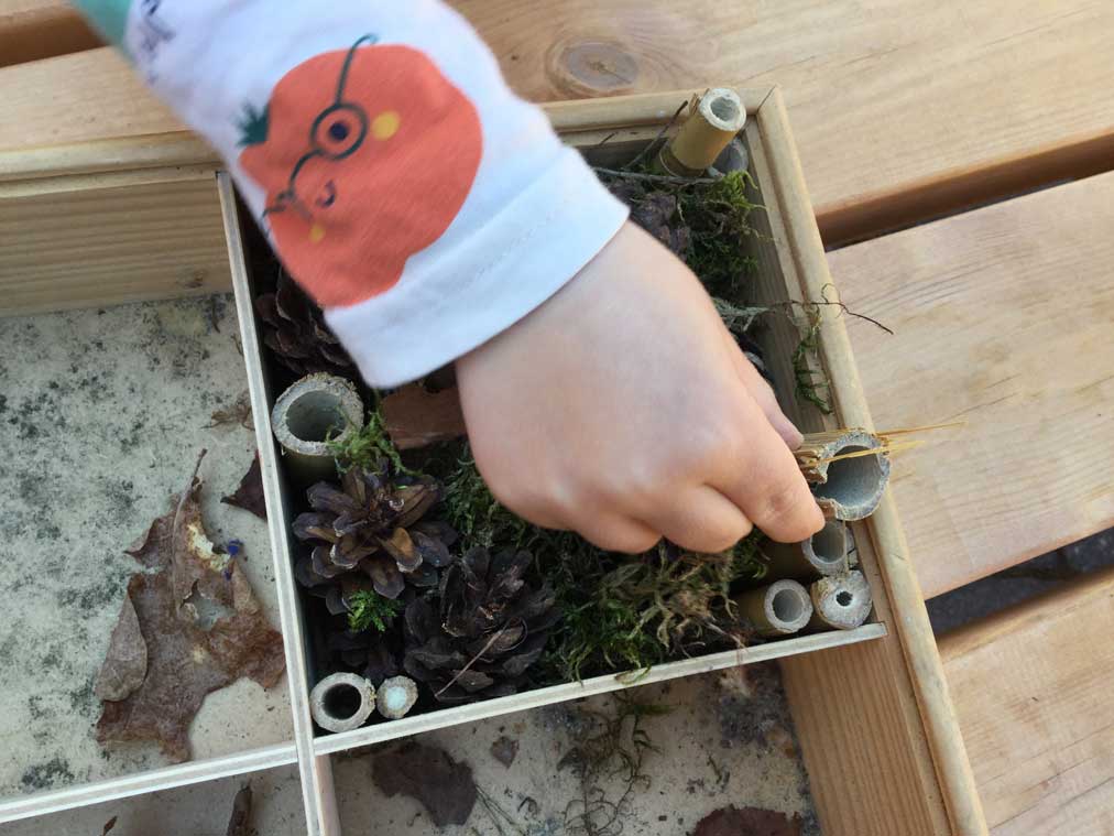 Detaljbild på barnhand som bygger ett insektshotell